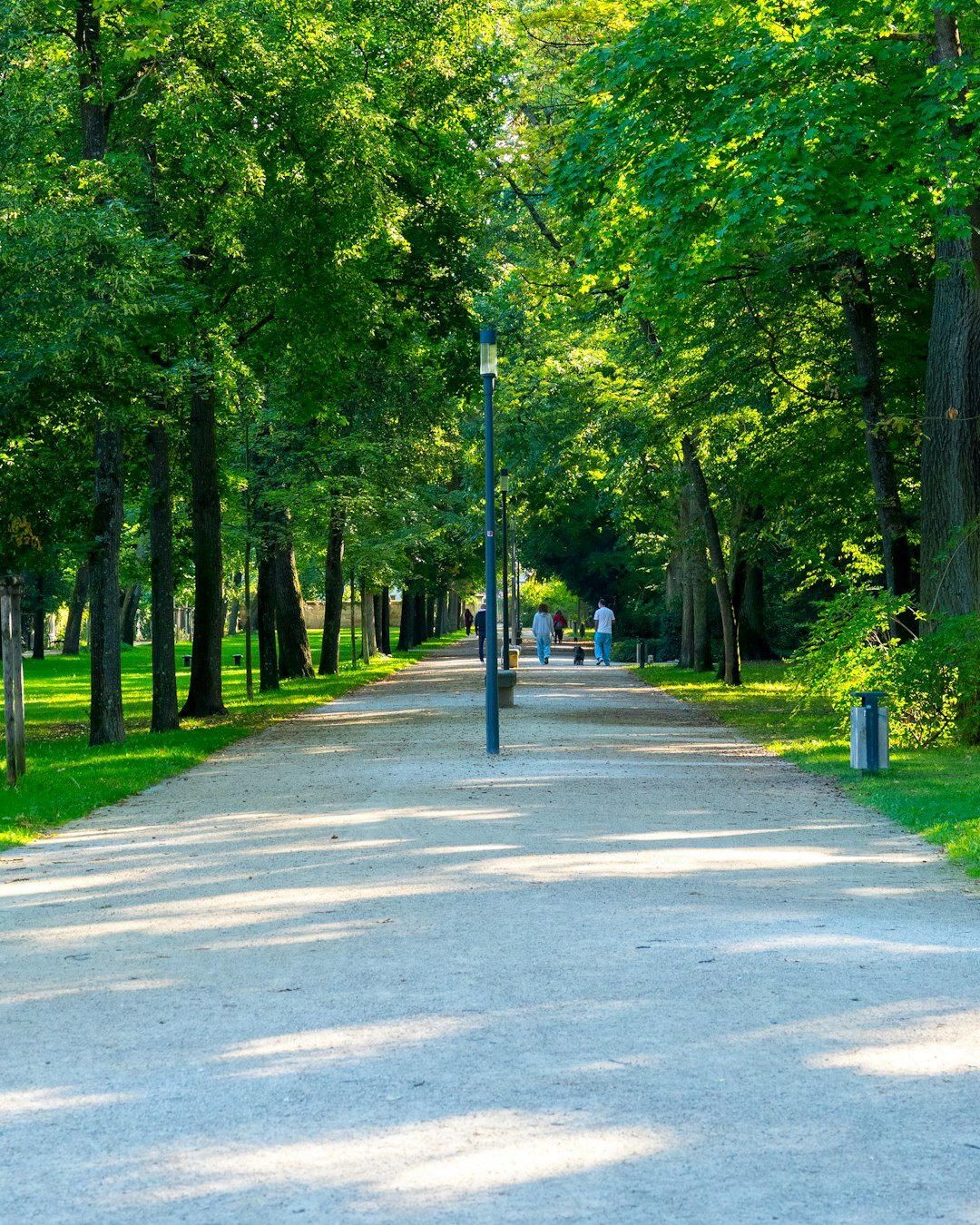 person walking in park
